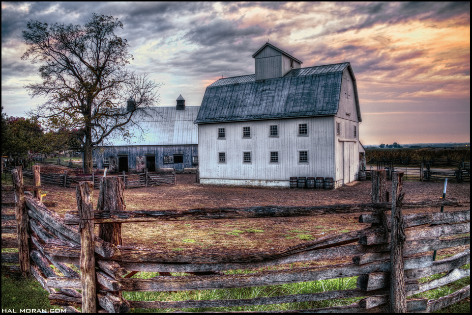 Newtown and country